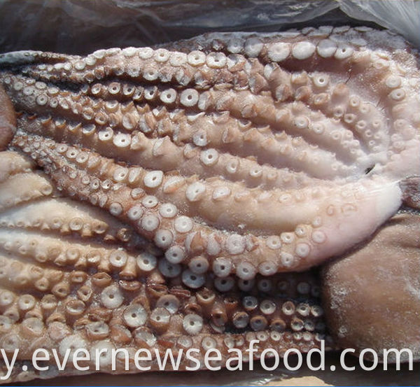 အရည်အသွေးမြင့် ရေဘဝဲလေးများ ရောင်းရန်ရှိသည်။